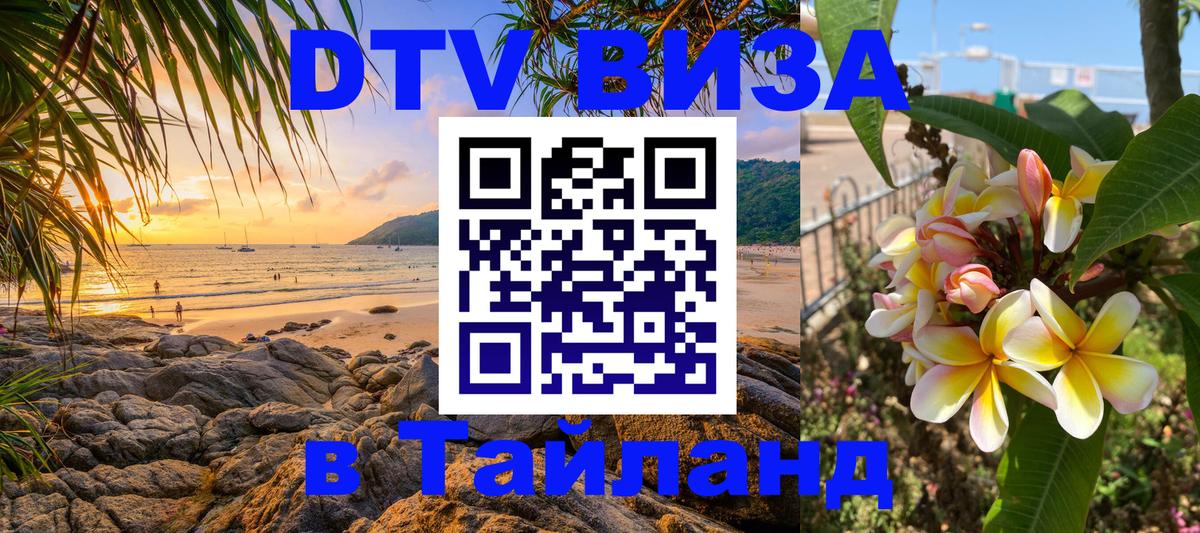 Оформление DTV визы под ключ: стоимость и тарифы, только загранпаспорт - 04.10.2025 